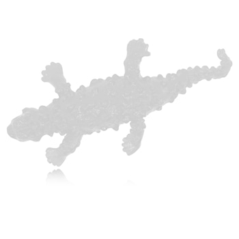 Sticky Lizard Splat Toy
