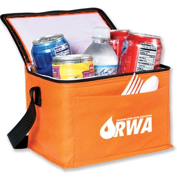 Custom Non Woven Insulated Cooler Bag